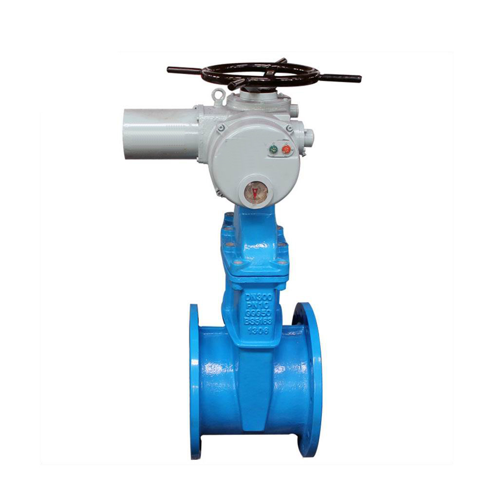 進(jìn)口電動彈性座封閘閥