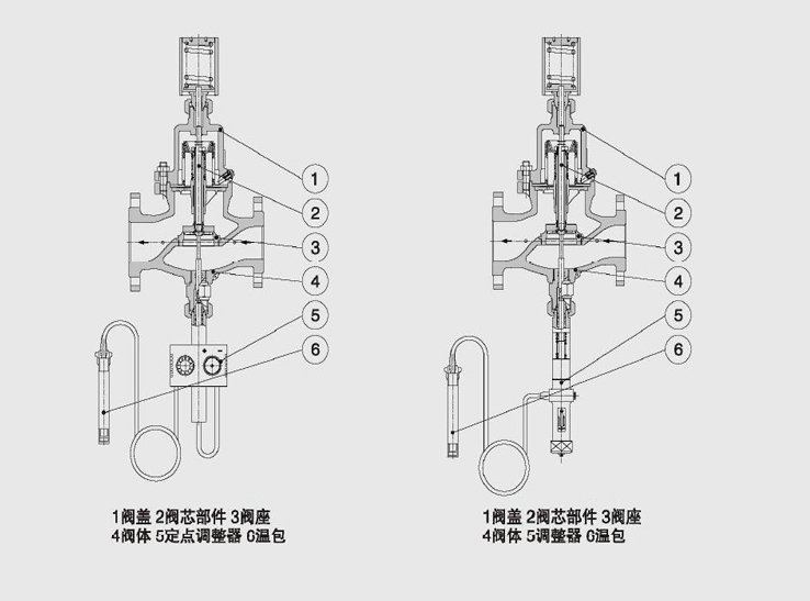 進口自力式溫度調(diào)節(jié)閥結(jié)構(gòu)圖2副本.jpg