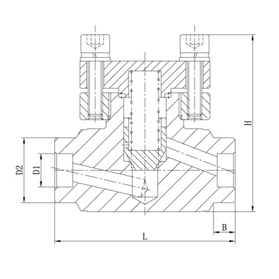 進(jìn)口低溫高壓止回閥結(jié)構(gòu)圖.jpg