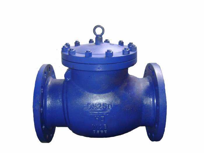 進(jìn)口旋啟式止回閥