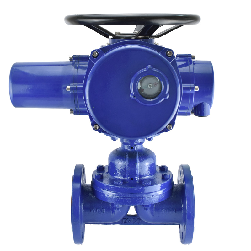 進(jìn)口電動(dòng)隔膜閥